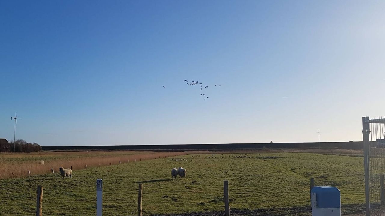 AreaSummer5KM AreaSummer5KM